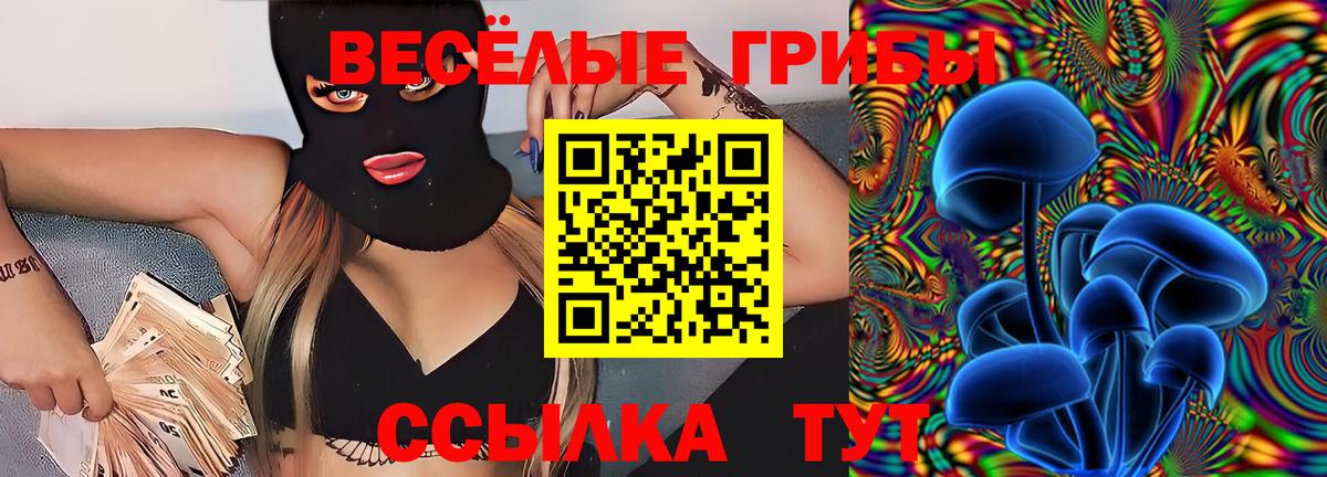 Псилоцибиновые грибы ЛСД Шадринск