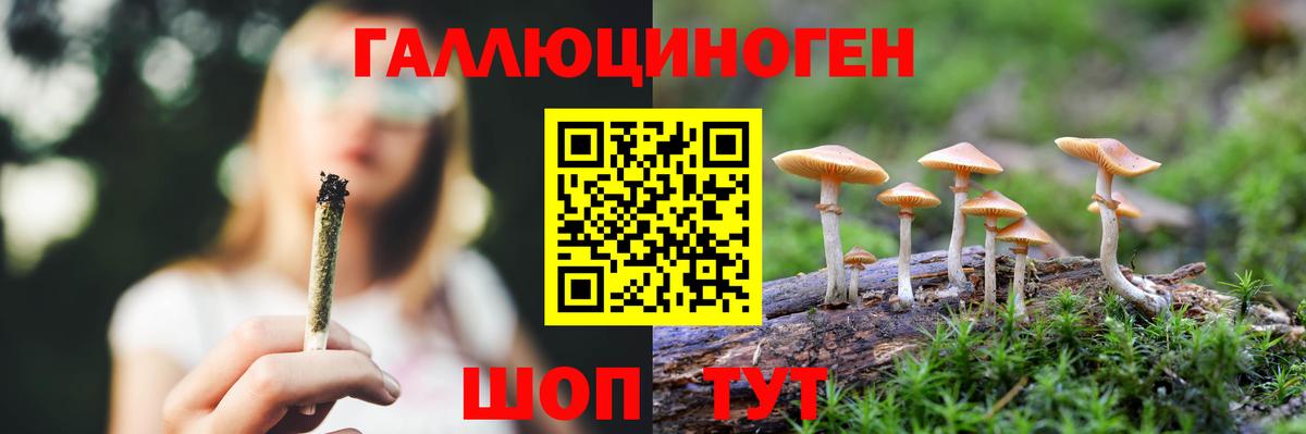 Галлюциногенные грибы MAGIC MUSHROOMS  Вход с VPN  Шадринск 